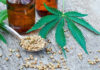 CBD – чудодійні властивості медичного канабісу