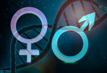 Теорія про те, що чоловіки еволюціонували, щоб полювати, а жінки – щоб збирати, є хибною