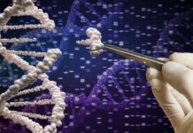 У Великобританії схвалено першу в світі терапію генного редагування CRISPR