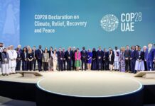 Конференція ООН з питань зміни клімату (COP28): крок вперед, але «потрібно набагато більше» – вчені