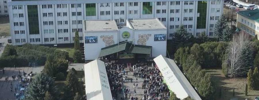 изображение_2025-06-16_111923240