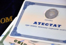 Запроваджено нове Положення про дипломи та сертифікати: акцент на цифровізацію та скорочення строків видачі