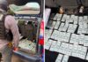 У Кропивницькому завідувача кафедри підозрюють у хабарі за вступ до аспірантури Гроші, знайдені у підозрюваного під час затримання. Кропивницький, 28 липня 2026 року. СБУ та прокуратура